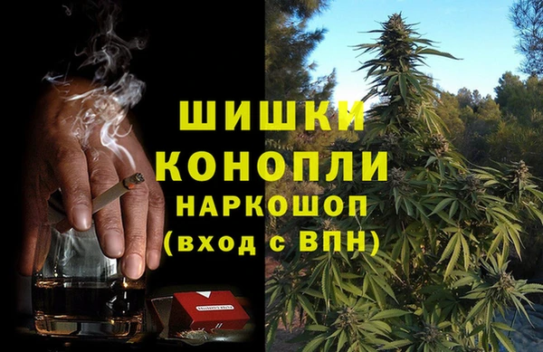 прущие грибы Михайловка