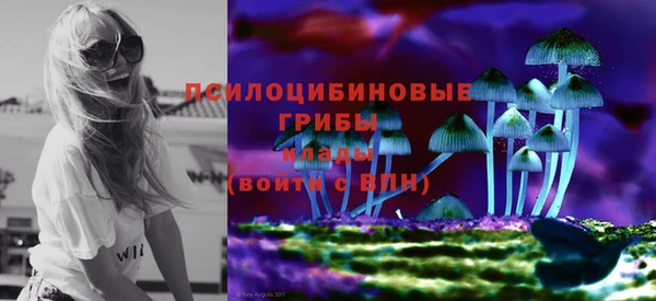 кокс Белокуриха