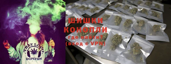 кокс Белокуриха