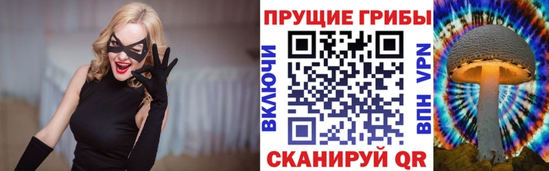 Псилоцибиновые грибы ЛСД Петропавловск-Камчатский