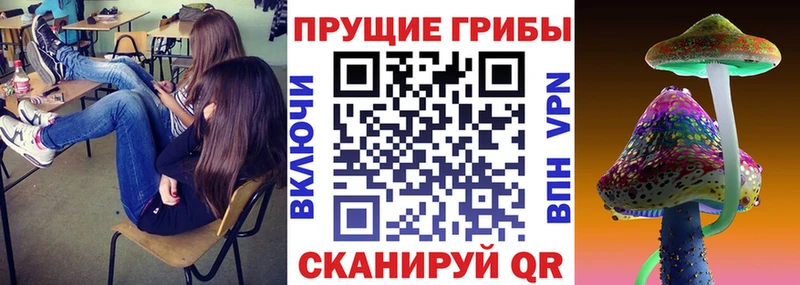 ОМГ ОМГ сайт  хочу наркоту  Петропавловск-Камчатский  Псилоцибиновые грибы мицелий 